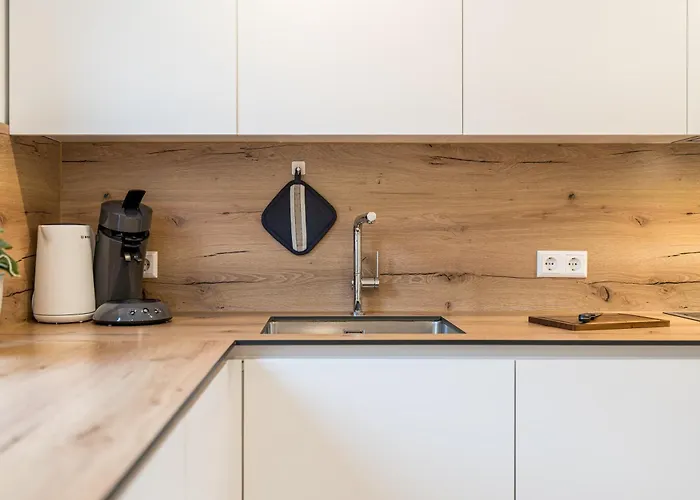 Rheinblick 3 アパート *