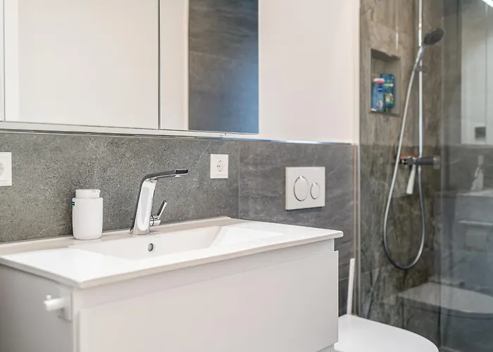 Rheinblick 3 アパート ヴァルツフート＝ティンゲン