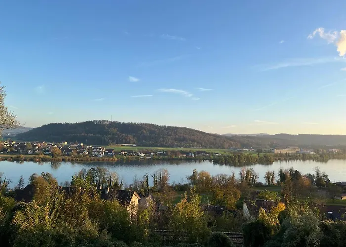 Rheinblick 3 ヴァルツフート＝ティンゲン